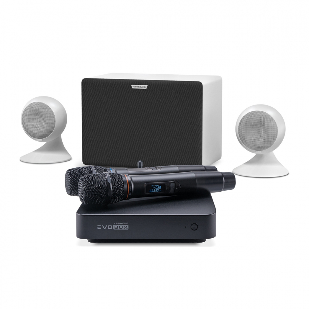караоке-комплект EVOBOX Classic + EvoSound Sphere 2.1 в Петропавловск-Камчатском