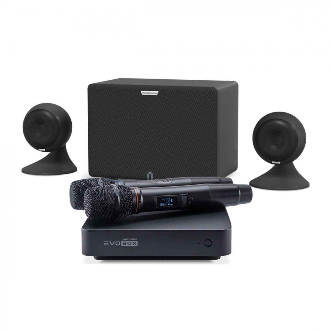 караоке-комплект EVOBOX Plus + EvoSound Sphere 2.1 в Петропавловск-Камчатском