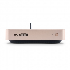 EVOBOX Plus караоке-система для дома в Петропавловск-Камчатском