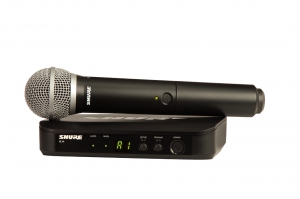 SHURE BLX24E/PG58 M17 вокальная радиосистема в Петропавловск-Камчатском